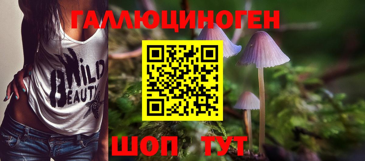 Псилоцибиновые грибы ЛСД  Галлюциногенные грибы мицелий  Саранск  Вход с VPN 