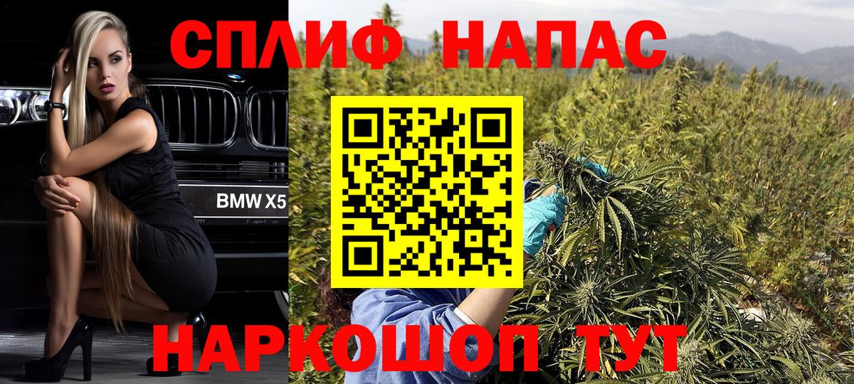 Конопля тримм  Вход с VPN  Саранск  Бошки марихуана SATIVA & INDICA 